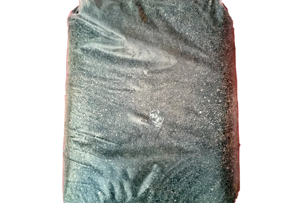 NOCCIOLINO DI SANSA VERGINE