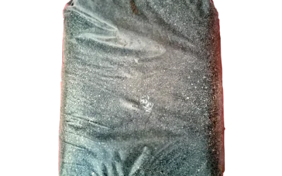 NOCCIOLINO DI SANSA VERGINE