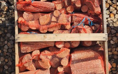 Sacchetti di legna da ardere camino in bancale